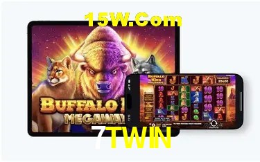 Promoção Relâmpago 7TWIN
